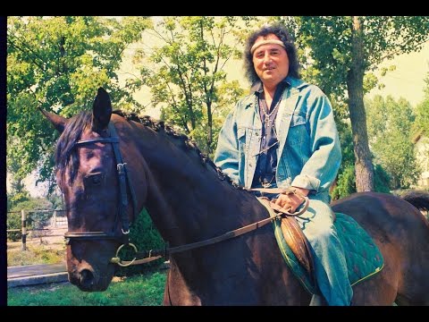 Marian Nistor - Privighetoarea