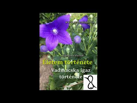 Vadmacska: Életem története Írta: Fogolyán Szellő (Harangi Emese)