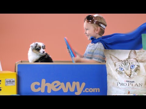 Chewy.com summer spots1