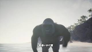 Sound Of Limited - 渚のブラジリアン