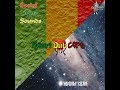DFR005 Social Living Sounds Chant Down The Walls Of Babylon Dub Flash Records