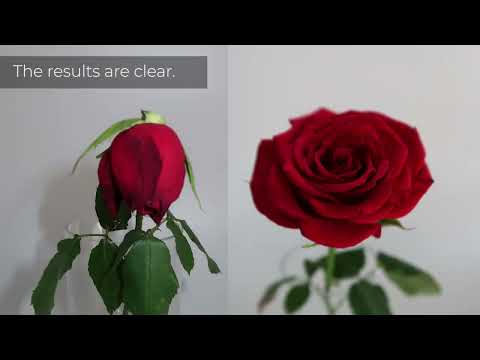 Plasma Activated Water  (PAW) with the Henniker Atmospheric Plasma