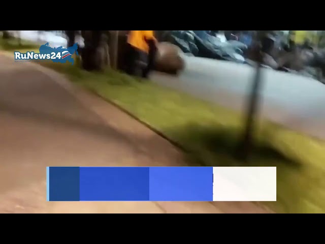 В Чили по улицам города гулял огромный морской слон. Видео 1