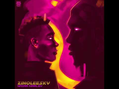Zinoleesky - Naira Marley (Audio)