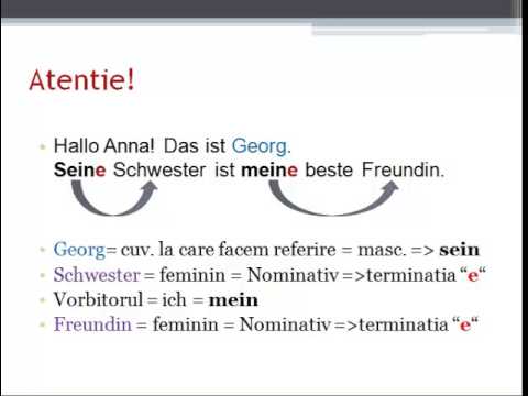 Germana pentru incepatori. Lectia 60. Possesivartikel