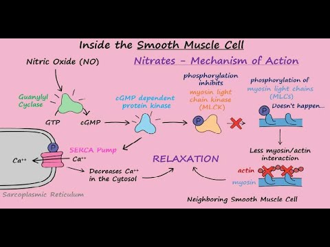 Nitroglycerin Mechanism of Action for Angina Pectoris