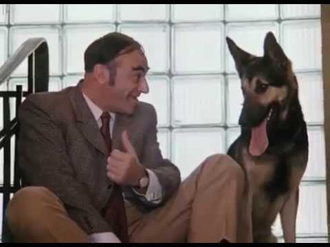 Обокрали Шпака