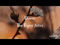 The Paper Kites - Bloom (lyrics)