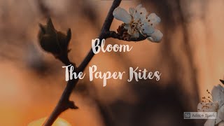 The Paper Kites - Bloom (lyrics)