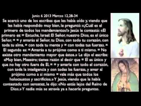 Evangelio 6 junio 2013