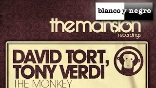 David Tort & Tony Verdi / The Monkey Original Mix