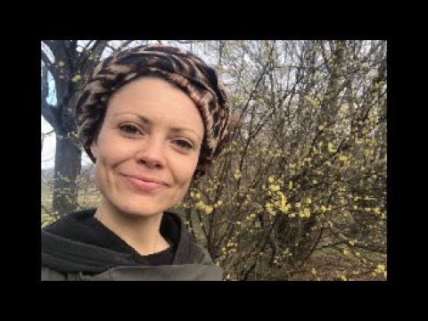 Kräuterwanderung zu Frühlingsbeginn: Haselnuss, Taubnessel, Veilchen, Ehrenpreis, Vogelmiere und Co.