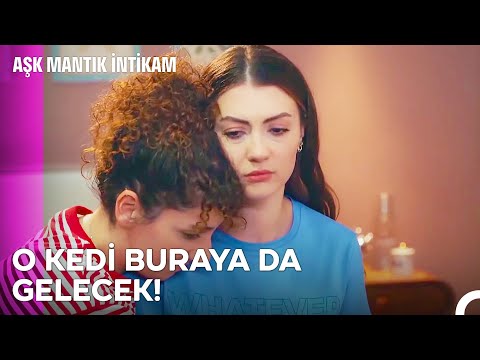 Tıpış Tıpış Geleceksin Ozan Korfalı - Aşk Mantık İntikam
