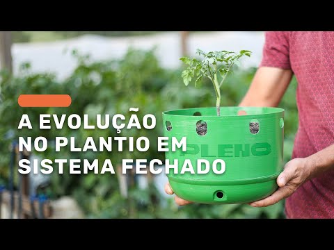, title : 'Nova forma de cultivar em sistema fechado estufa  |  Vaso Pleno da Federal Agro'