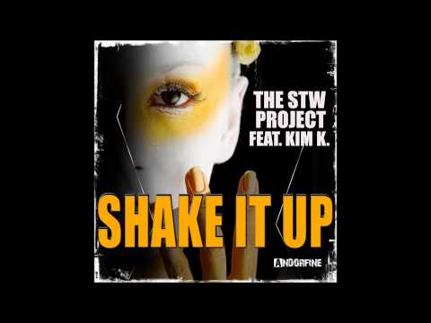 The STW Project feat  Kim K - Shake it up (Radio Edit)