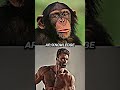 Human Vs Animals