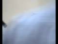 Videopoem Presents The Kniters "Skin Deep"