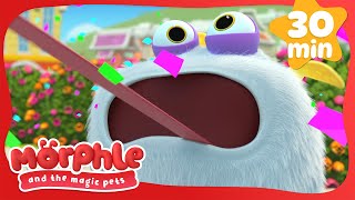 The Magic Frog 🐸 | Morphle and the Magic Pets | Available on Disney+ and @disneyjunior | BRAND NEW