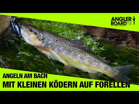 Angeln am Bach | Forelle mit kleinen Ködern | RUTE & ROLLE Classic | Anglerboard TV