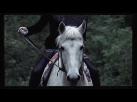 Thumbnail of the video: Gallery Met Shorts: Tristan und Isolde
