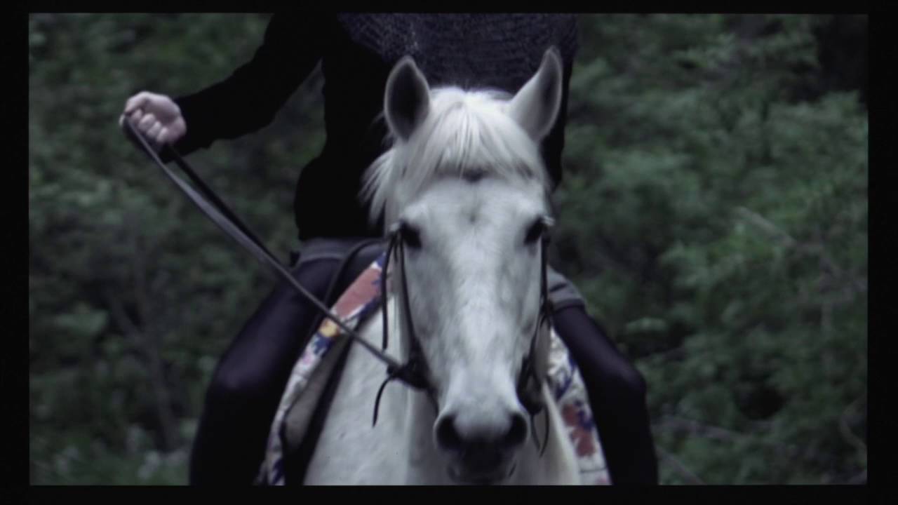 Gallery Met Shorts: Tristan und Isolde