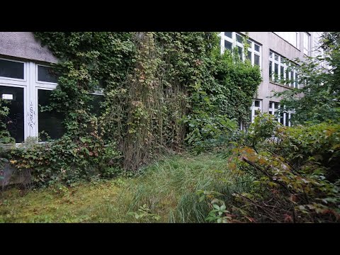 Lost Place # 116  Schule 15 Jahre zugewachsen wie das Dornröschen Schloss