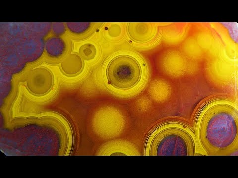 Klaus Schäfer and Raffael Schäfer