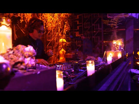 LuSiD LIVE @  In the Lowest Ferns