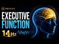 Executive Function Enhancer 14 Hz Beta Alpha Synchrony For Peak Performance