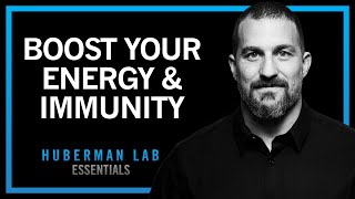 Boost Your Energy & Immune System with Cortisol & Adrenaline | Huberman Lab Essentials