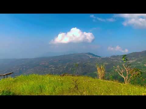 Nature views 🍀🍀🍀