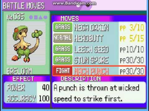 Lets play pokemon Emerald part 6-training,evolutions and HM Strength