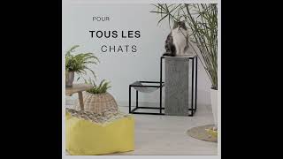 Arbre à chat robuste et design au style industriel