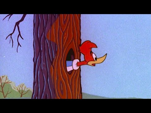 Woody Defends His Home | Woody Woodpecker