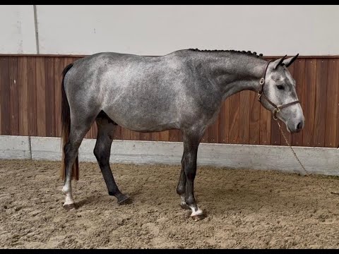 Isak of Gyllebo Z ☆ I'M SPECIAL DE MUZE x CONTENDRO I - Video 12 video thumbnail