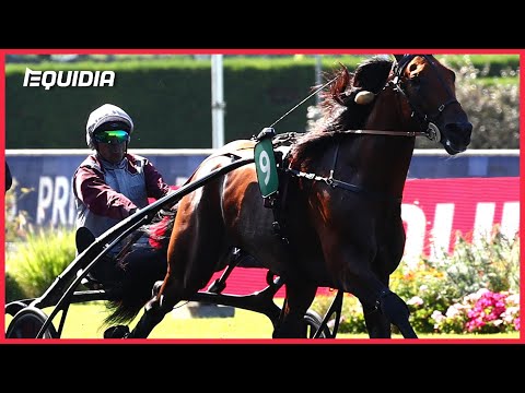 KOCTEL DU DAIN EN CHAMPION DANS LE PRIX ABEL BASSIGNY - CRITERIUM 3 ANS Q2 - GR.II - 19.08.23