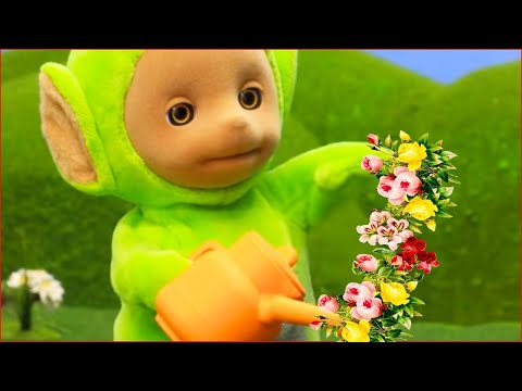Les Teletubbies en français ✨ 2017 HD ✨ Nouvel épisode | Les Teletubbies font pousser des fleurs