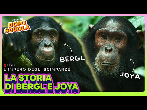 L'INIZIO DI UNA STORIA 🙊 L'impero degli scimpanzé | Netflix DOPOSCUOLA