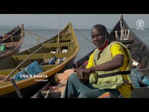 Post-harvest video trainings: Jerry cans