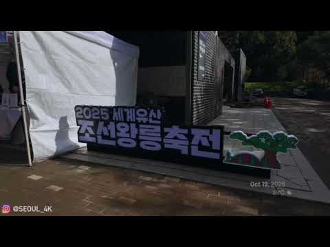 비디오 13