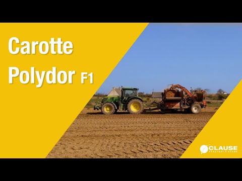 Video: POLYDOR F1