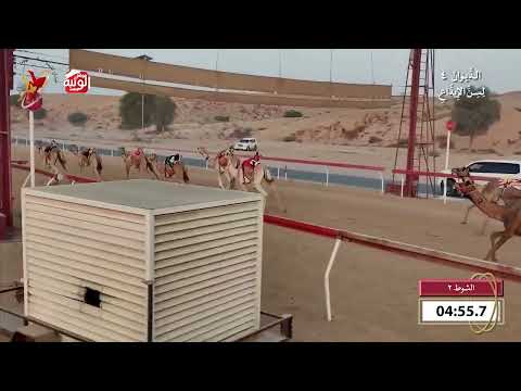  ش 2 (العبور) لـ احمد سيف سهيل الوحيرة الدرعي 7:59 , شارة الديوان 4 2026/10/25 اللبسه ايذاع 