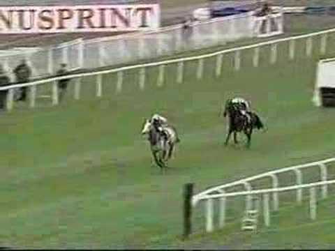 City Hall vs Sir Talbot last 2 flights 1998 Juvenile Hurdle