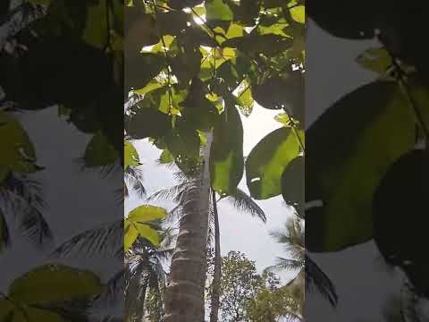 beach enjoy 😊 full day masti.... #beach #beachvibes