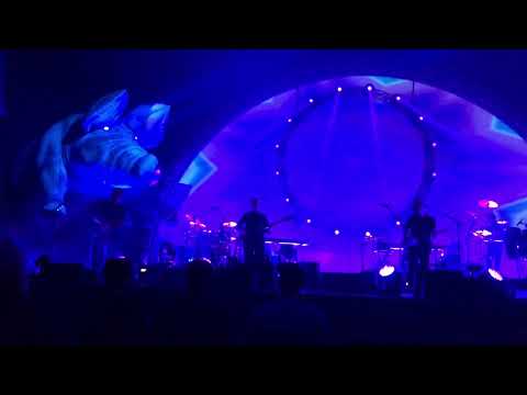 Brit Floyd - 2018  Pigs(Three different ones)
