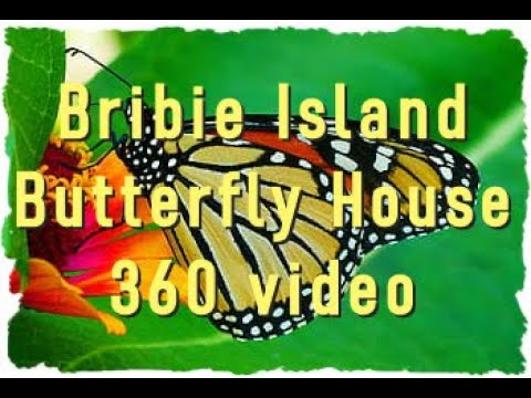Bribie Island Butterfly House