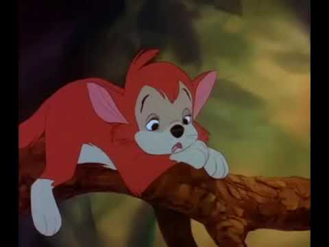 Banjo in Starland part 2- Banjo's Troublesome Plans/'Land Something on The Seat of Your Britches'