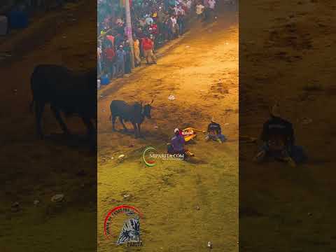 Seguimos con mas de las corridas de toros de Parita.short
