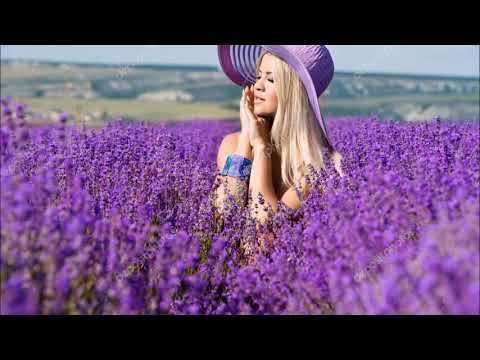 MIRJANA BOBUŠ - TESTAMENT