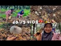 Daily Vlog Looking For Palm Mushrooms With Mom ༘ Dailyvlog Adventure Palmmushrooms